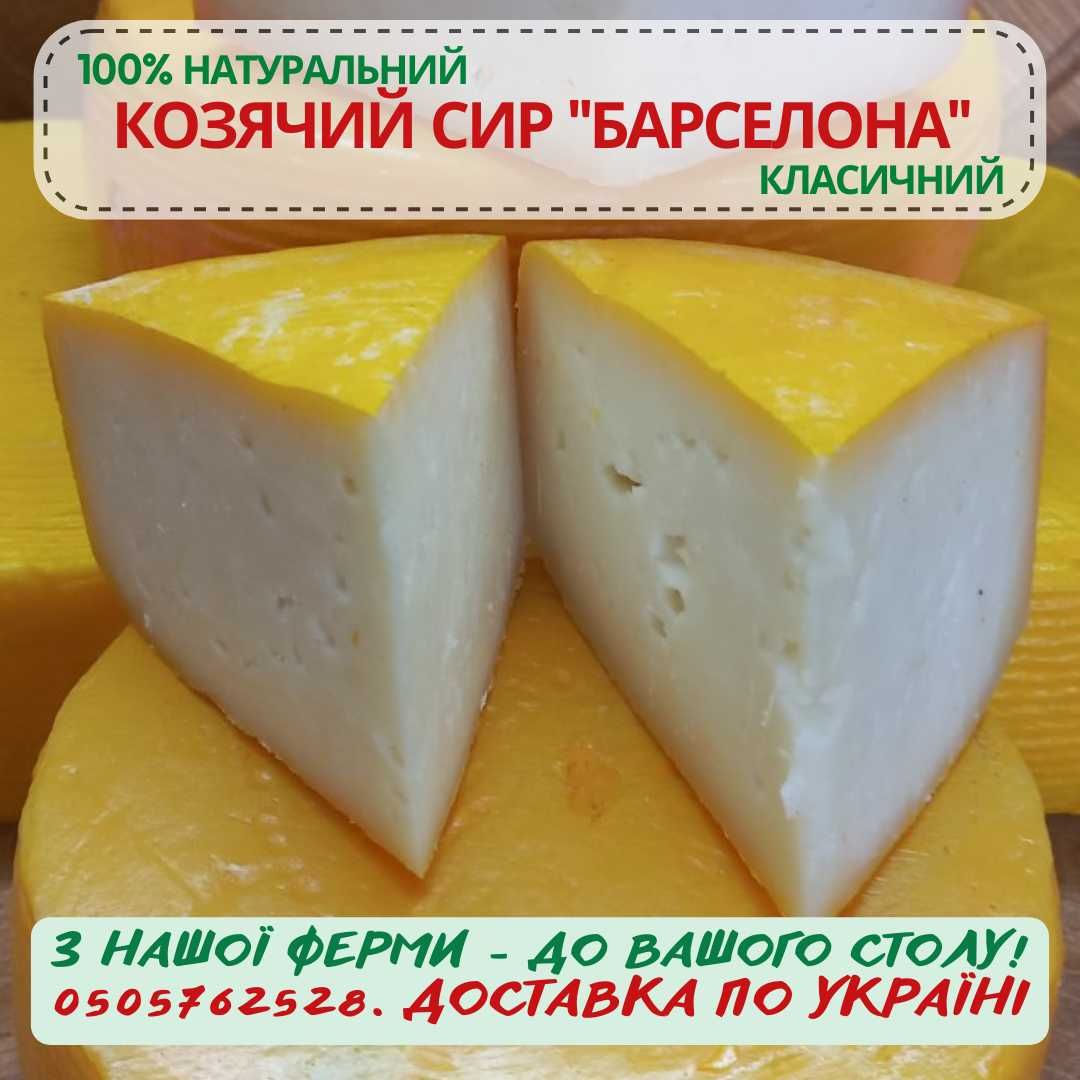 Сирний сет з 8 видів козячого сиру + ПОДАРУНОК СИРНА КРИХТА 200г