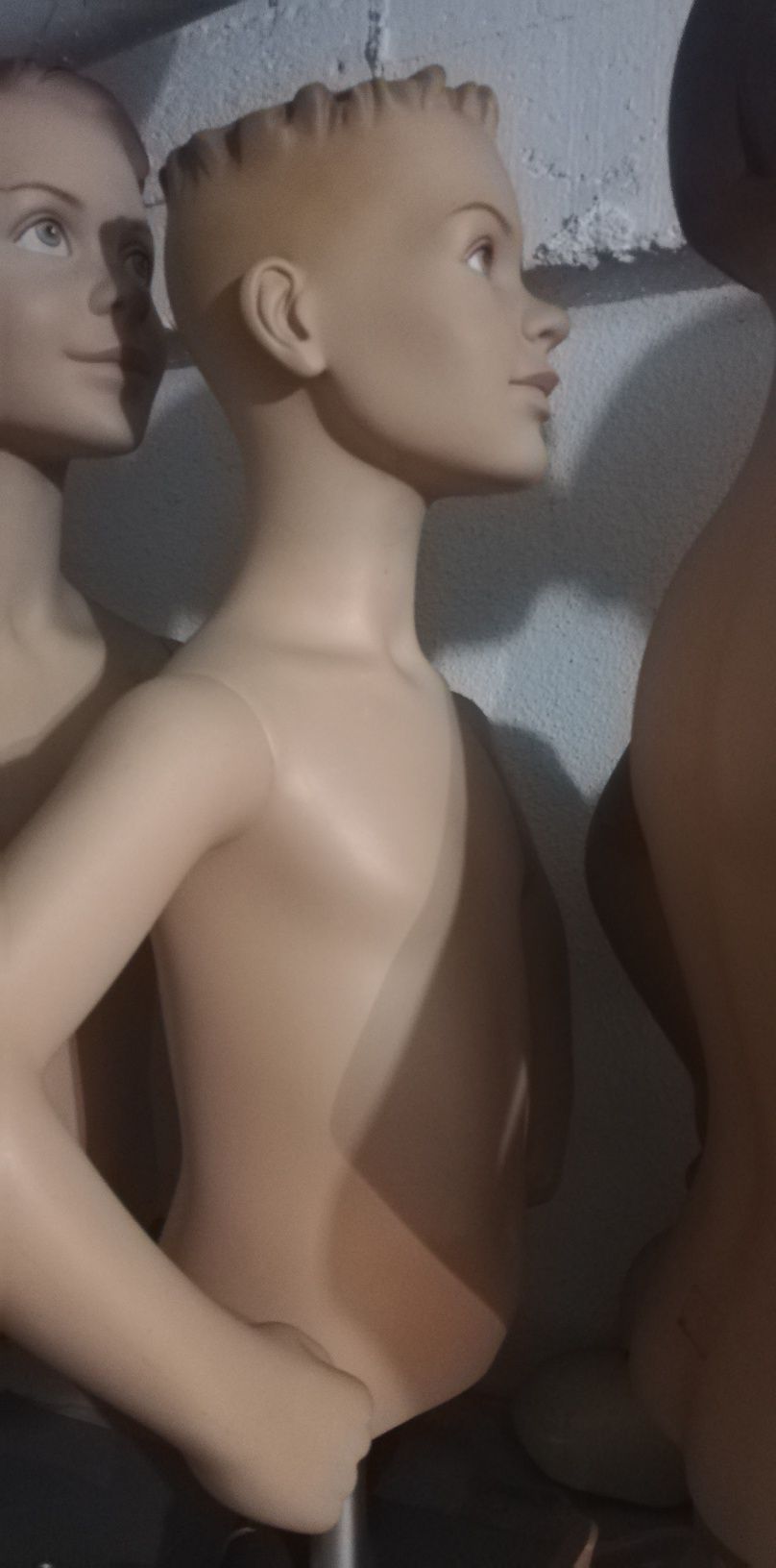 Manequins/bustos /torsos