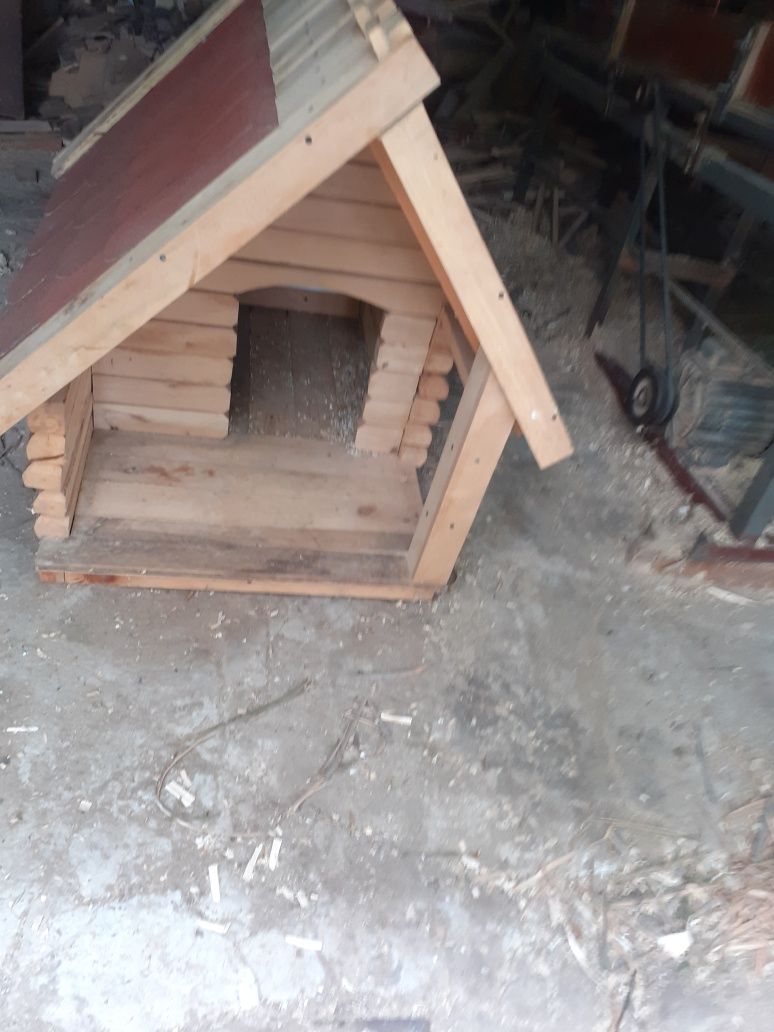 Buda dla średniego pieska
