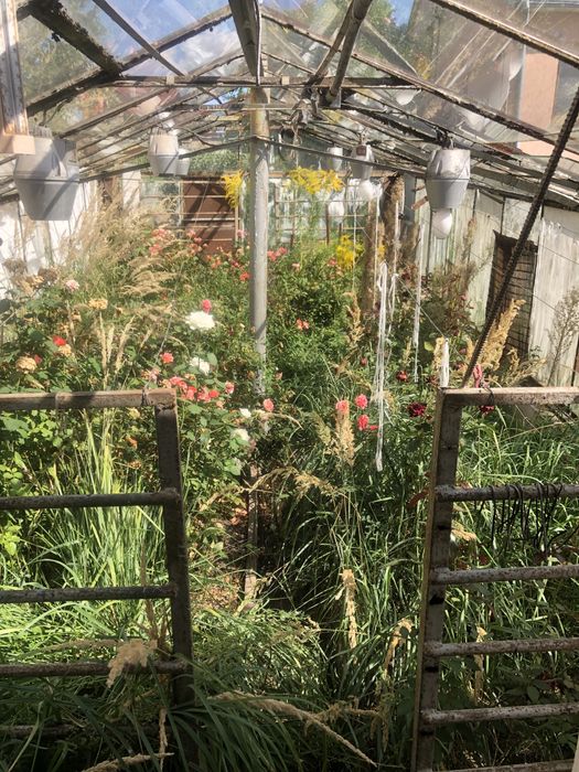 Теплиця теплиці для декоративних рослин квітів