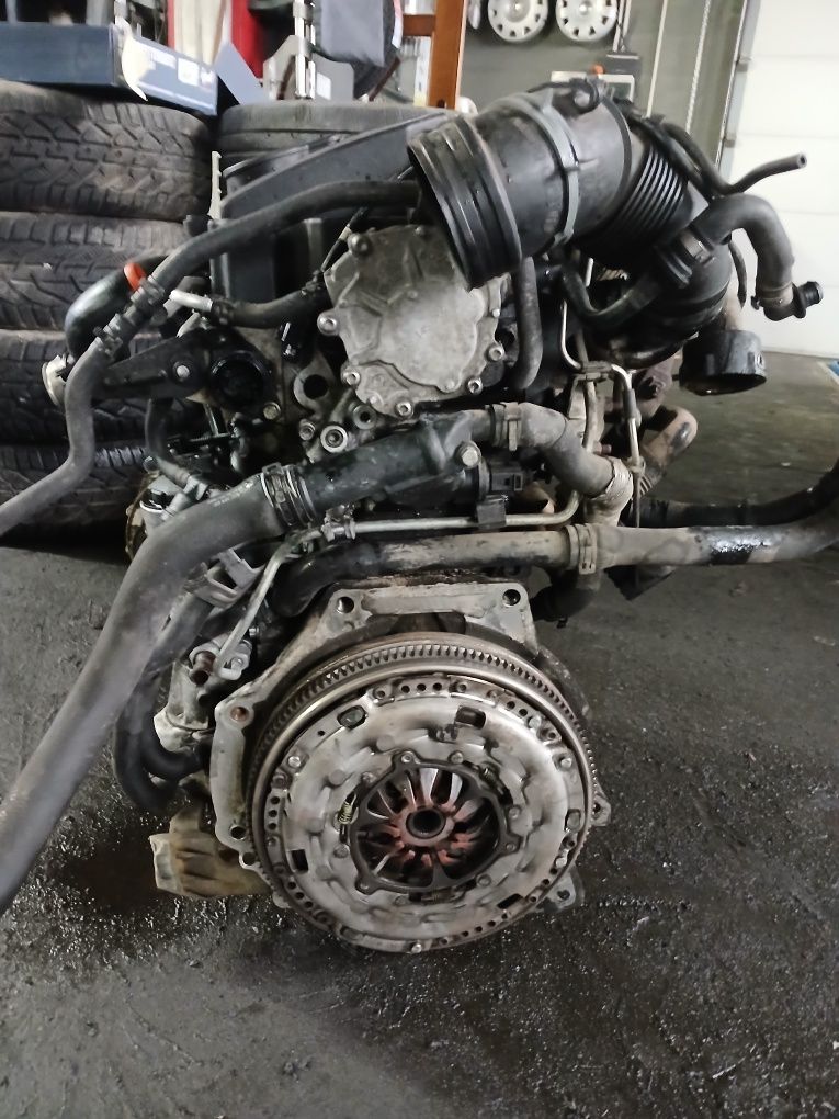 Silnik bls 1.9tdi Audi VW Seat Skoda