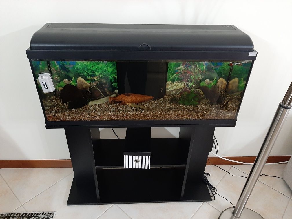 Vendo aquário com móvel