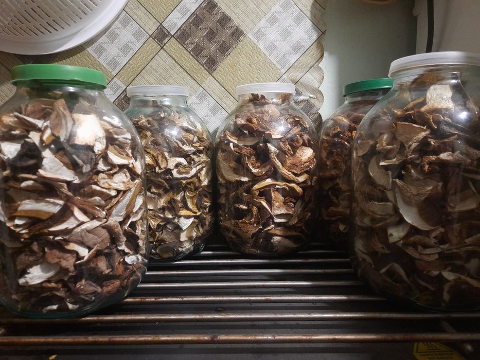 Білі сушені гриби