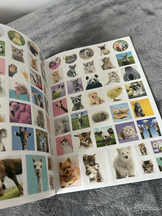 Zestaw  - łamigłówki oraz kolorowanka z naklejkami