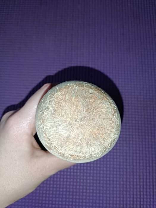 Дерев'яний гриб-горіхокол