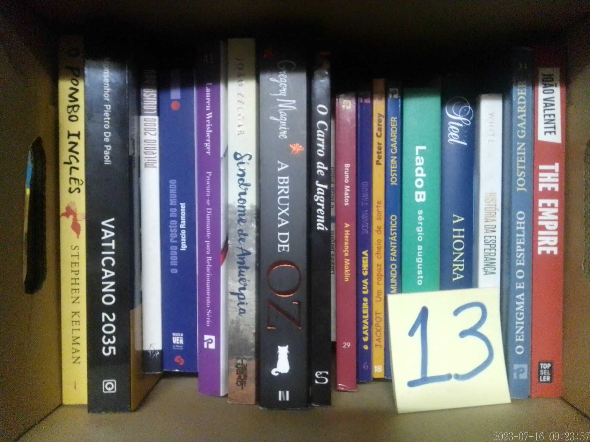 LOTE 13 - LIVROS Diversos - Vendidos INDIVIDUALMENTE - Vários Preços