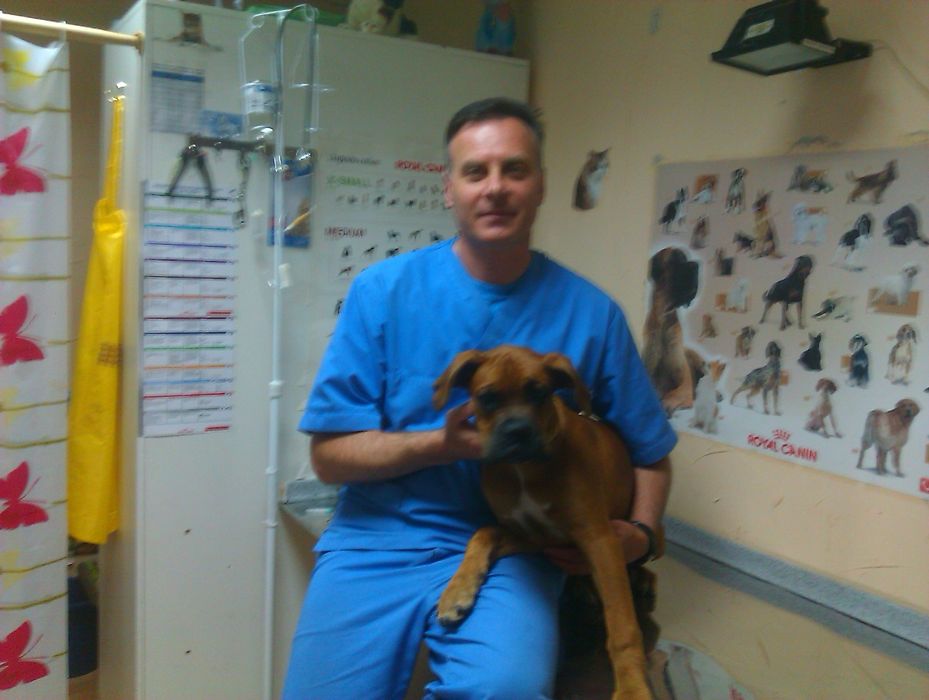 Акция!Стерелизация кошки кастрация кота Ветеринар на дом