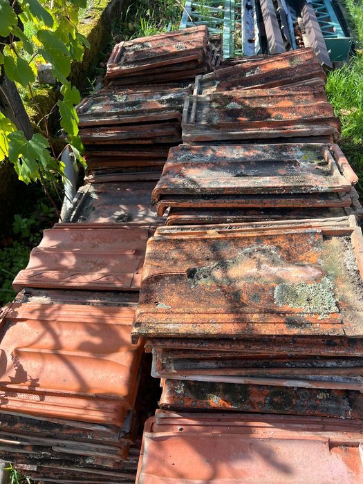 Telha Marselha Mortágua