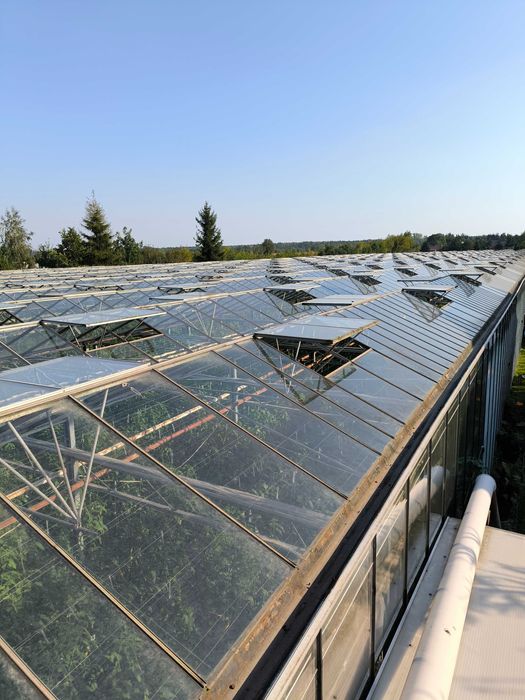 Szklarnia Venlo 3500m2