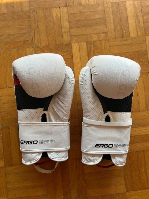 Saco de boxe + Luvas