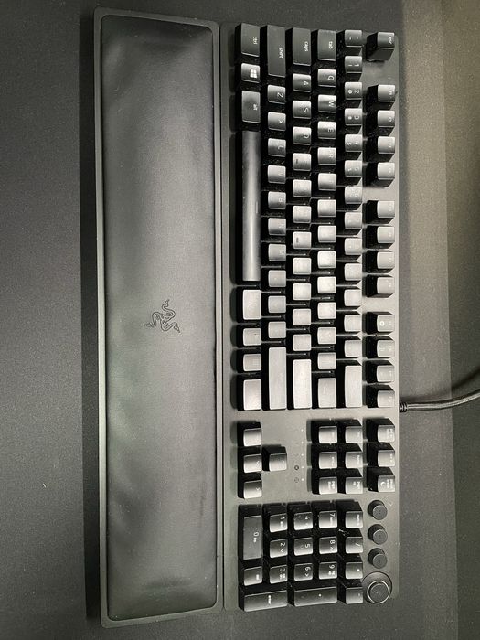 Razer Hunstman Elite purple clicky