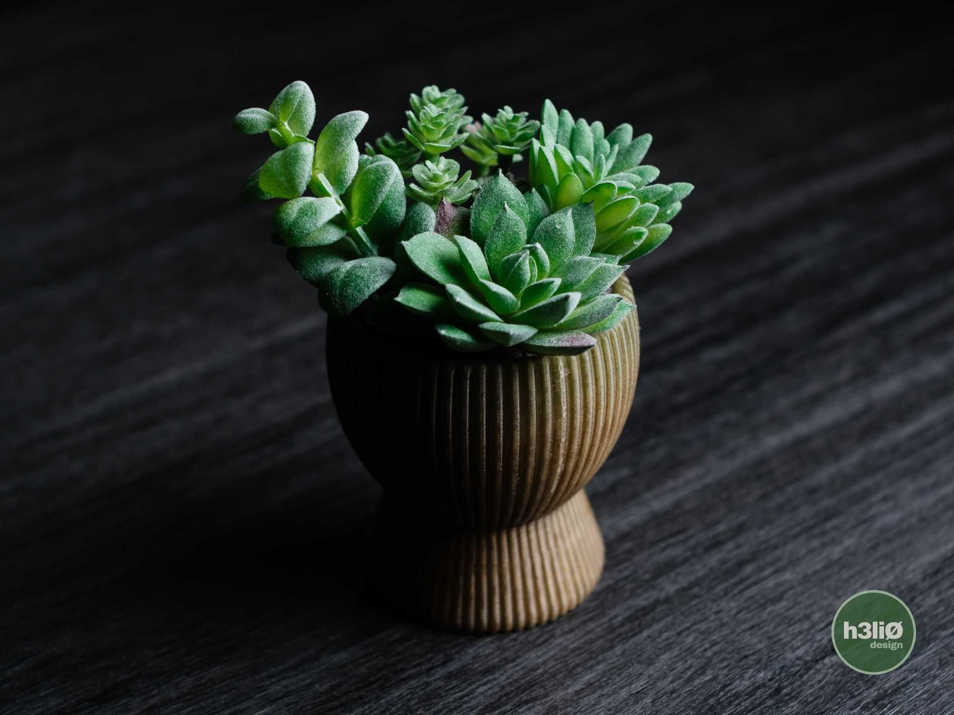 Vaso Minimalista