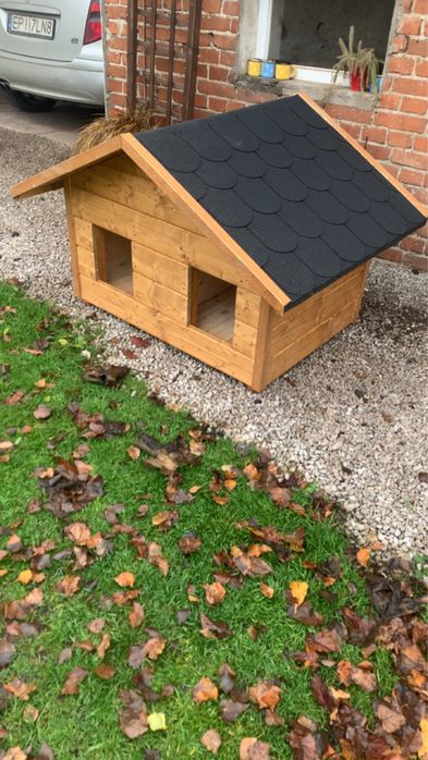 Buda dla psa na wymiar