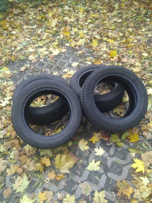 Opony Zimowe Dębica 205/55/R16.