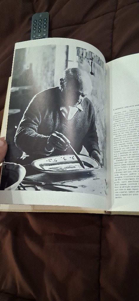 Livro cerâmica de Picasso