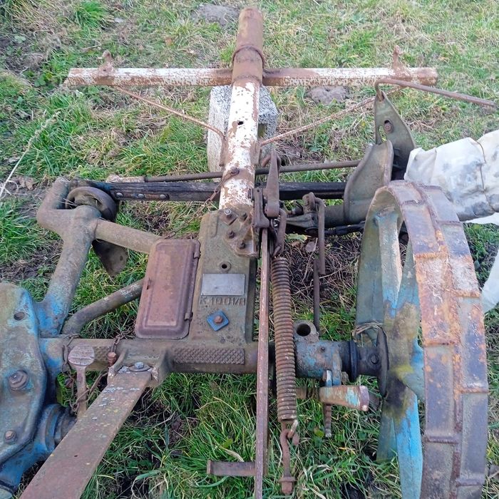 Косарка кінська хороша