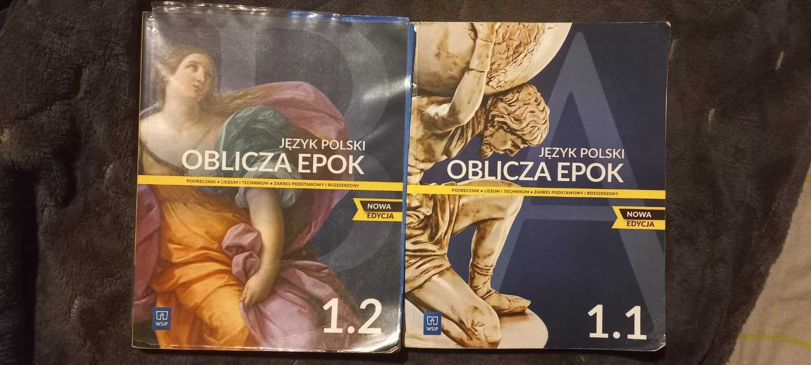 Podręczniki 1 klasa liceum technikum Nowa Era/WSiP Nowa Edycja