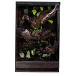 Gekon orzęsiony terrarium tropikalne 40x40x60