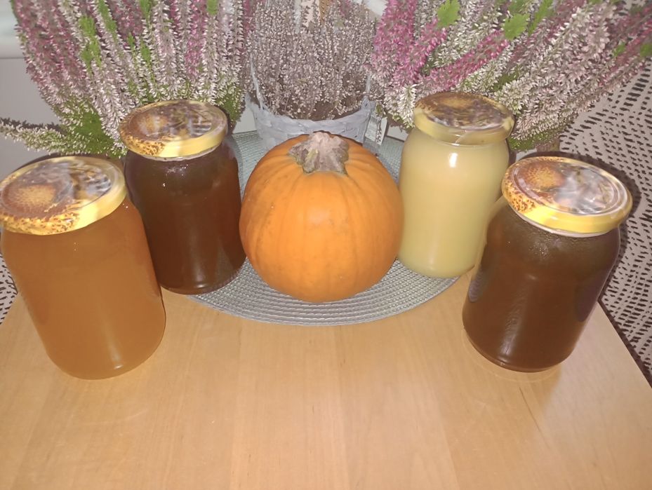 Miód gryczany, wielokwiatowy, lipowy