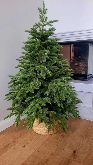 Choinka jak żywa Jodła szlachetna PE w donicy 110 cm