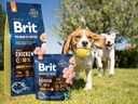 Brit Chicken Junior Medium - 1 kg