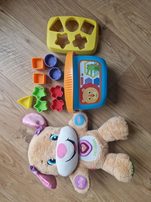 Szczeniaczek uczniaczek siostrzyczka i sorter