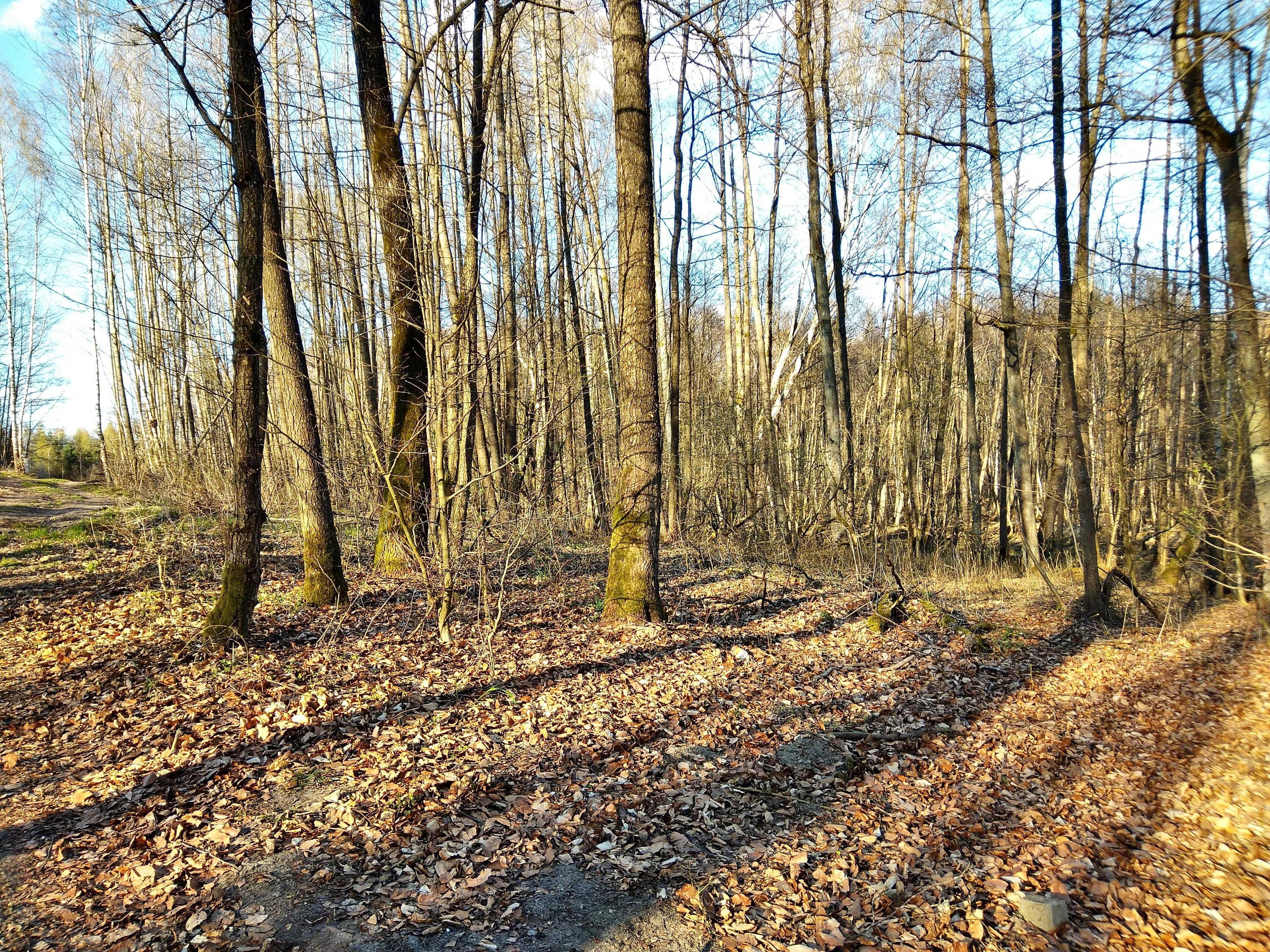 Działka rekreacyjna nad jeziorem Wielatowo