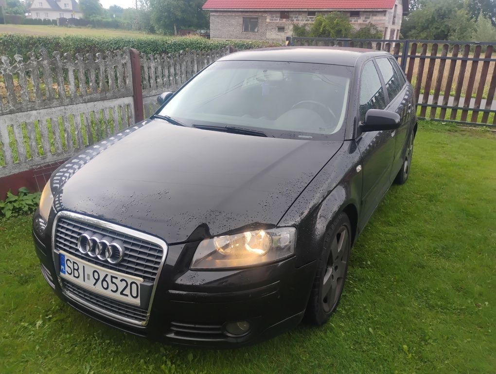 Audi a3 8P 1.9 TDi