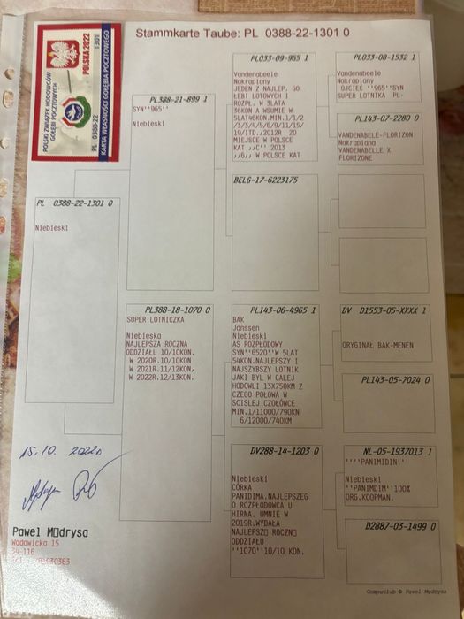 Para org Paweł Mędrysa linia 965 i arizona !!!