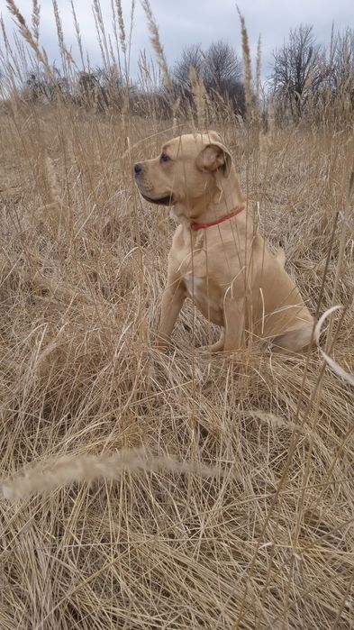 Ка Де Бо Кабель для вязки.