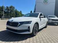 Skoda Octavia Edition 130 Selection 1,5 TSI m-HEV 110 kW 7- biegowa DSG