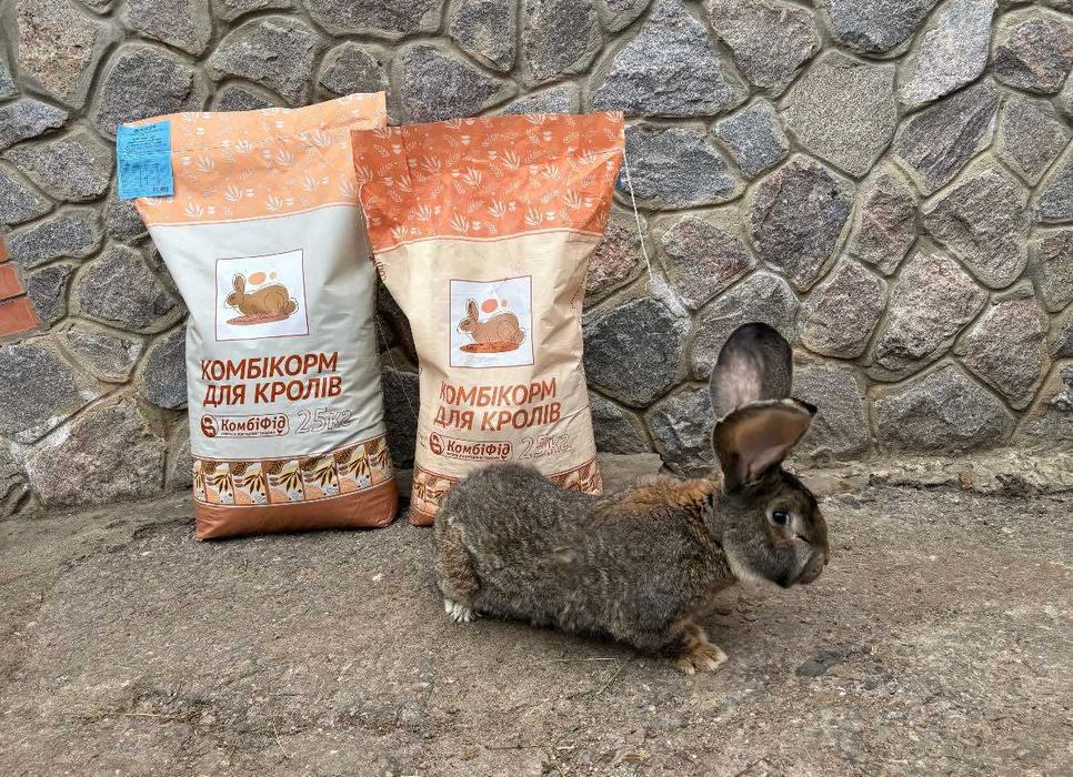 Комбікорм для кролів