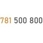 ZŁOTY NUMER 781_500_800