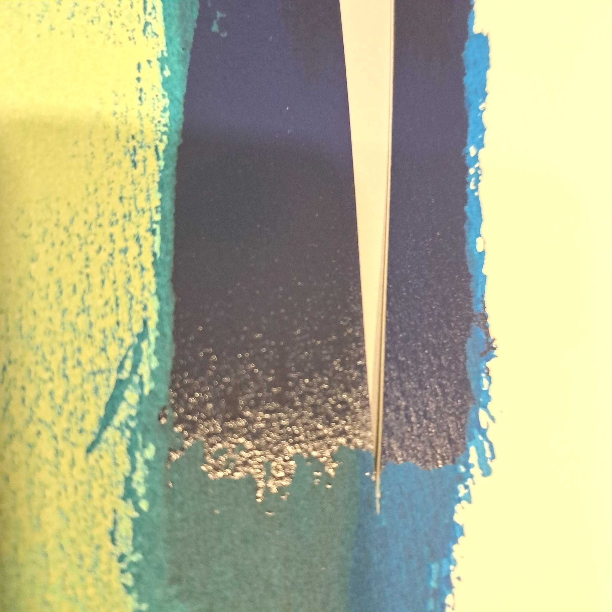 José Pedro Croft (1957) - Serigrafia sobre cartão com colagens