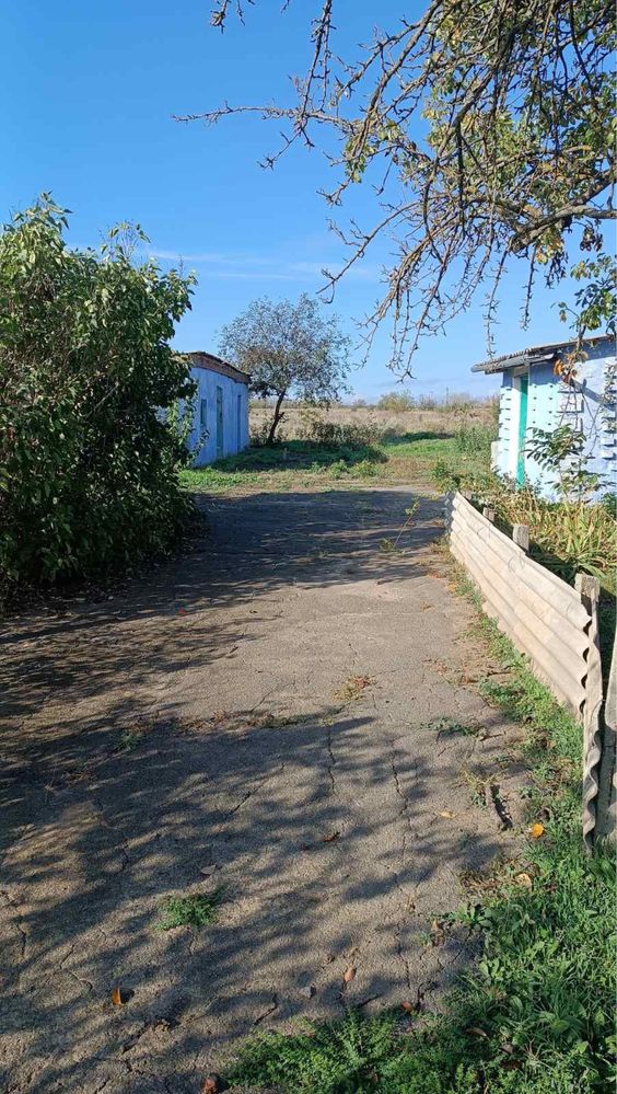 Хата в безопасном селе