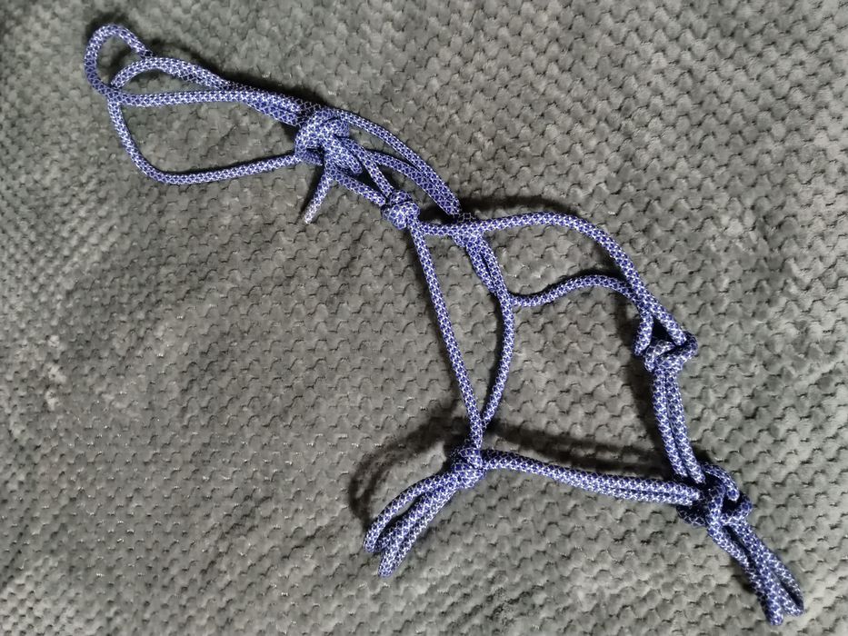 Niebieski halter