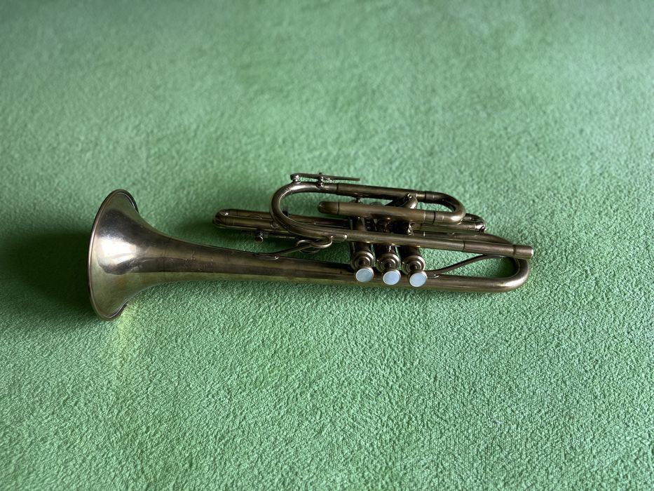 Martin Committee kornet