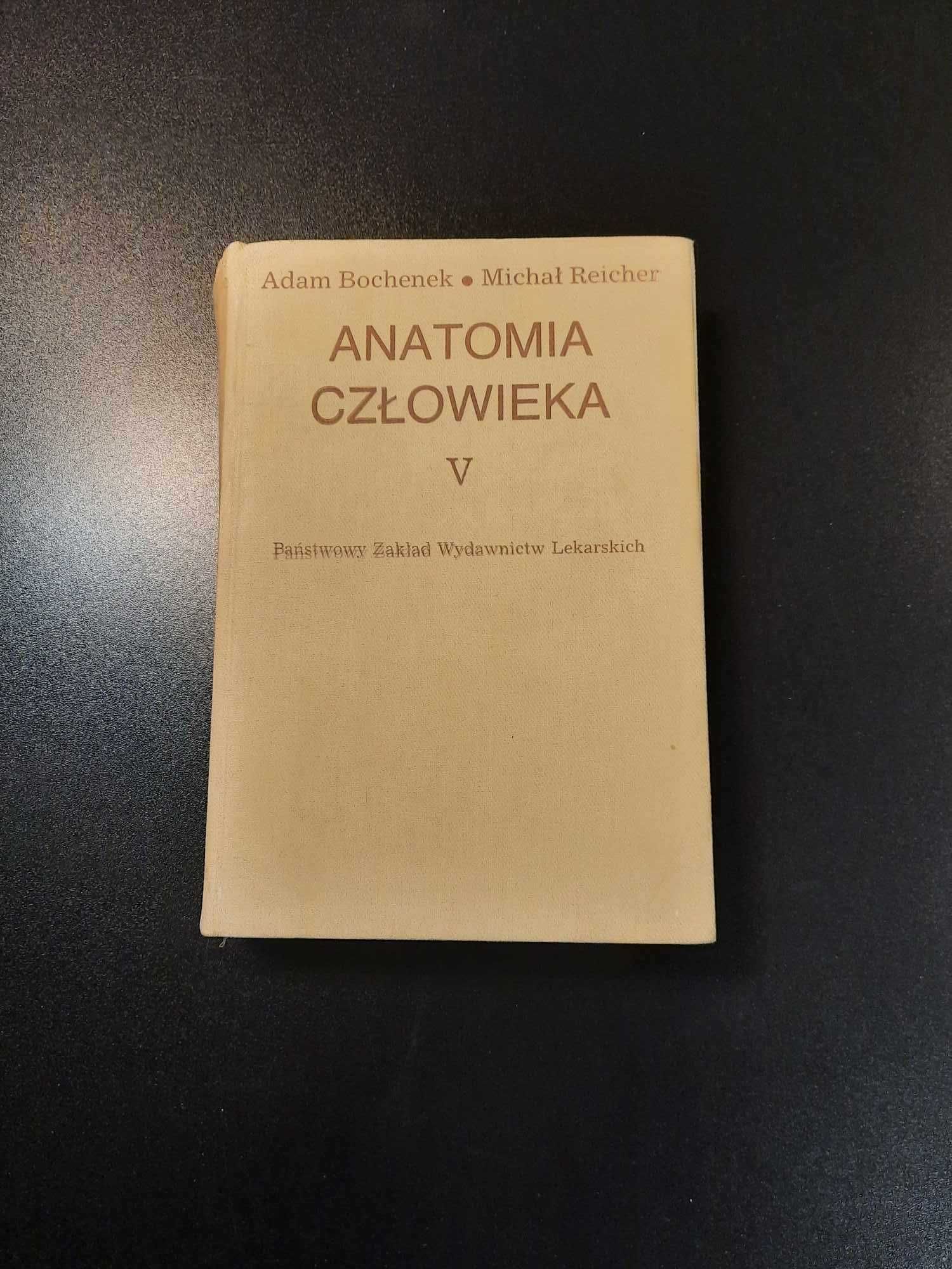 Bochenek Anatomia Człowieka