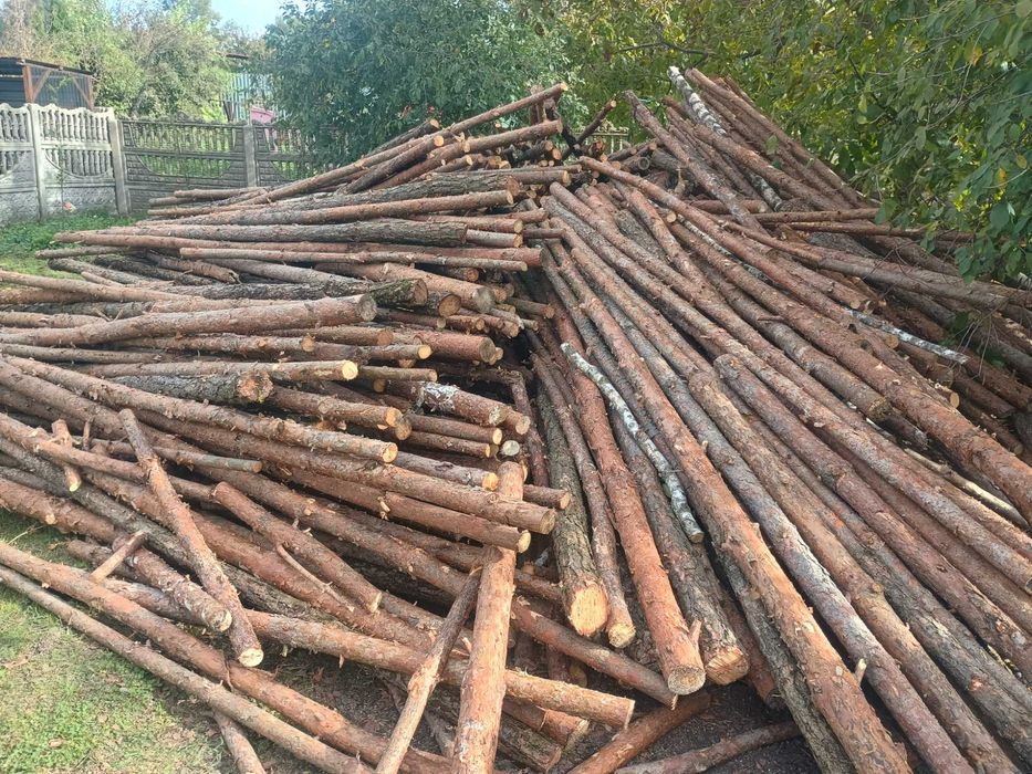 Drzewo opałowe. Sprzedam