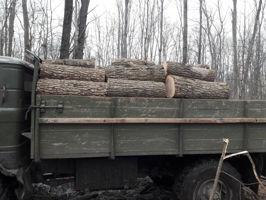 Дрова пород дуб и ясень