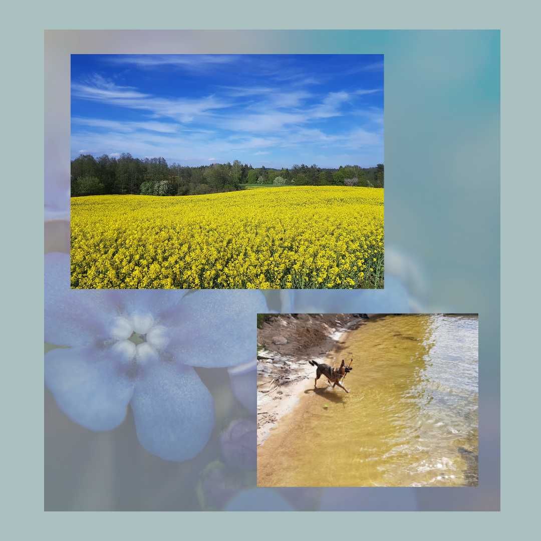 Mazury dom wakacyjny z dostępem do jeziora. Mazurska Niezapominajka.