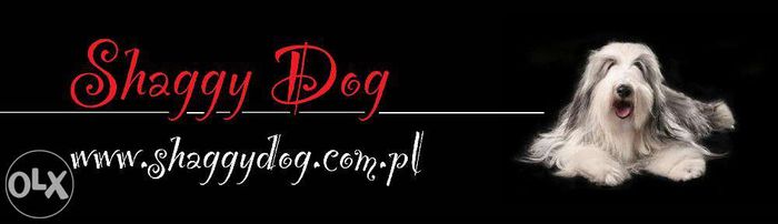 Salon groomingu (fryzjer) i hotel dla psów i kotów - Shaggy Dog
