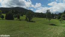 Pięć działek do zabudowy w lesie, 727m2, a może o pow. 5560m2