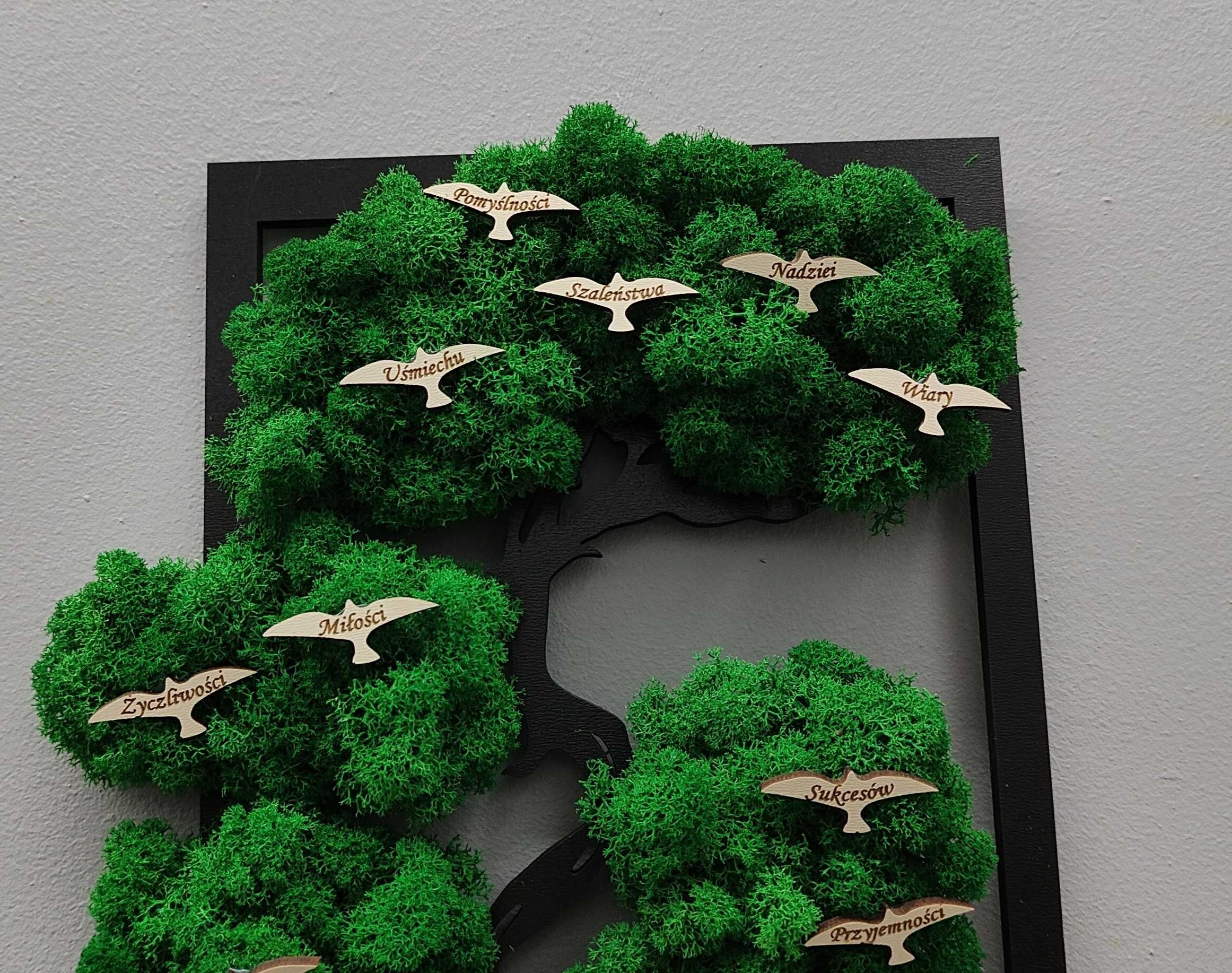 Obraz drzewo bonsai z mchem Babcia/Dziadek, ptaszki życzenia złot lust