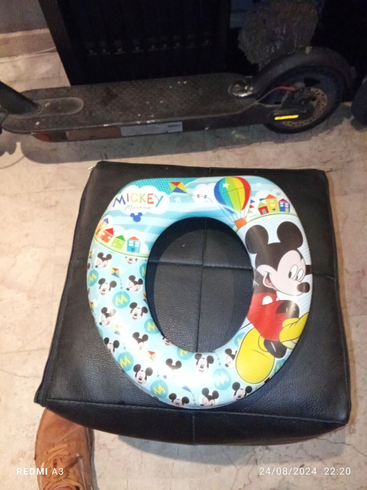 Tampa sanita criança Disney