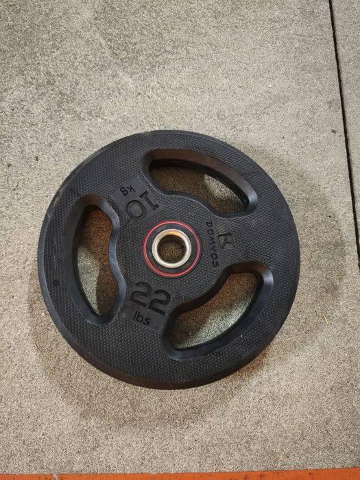 Banco de Supino Flybird + 4 Discos Domyos 10kg (Total 40kg)