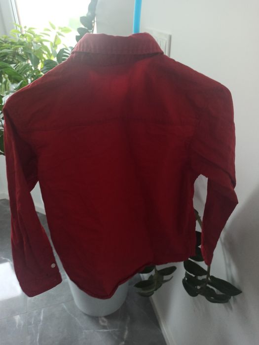 Koszula czerwona 122 h&m esja zdjęciowa mikolaj