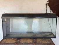Vendo aquário grande