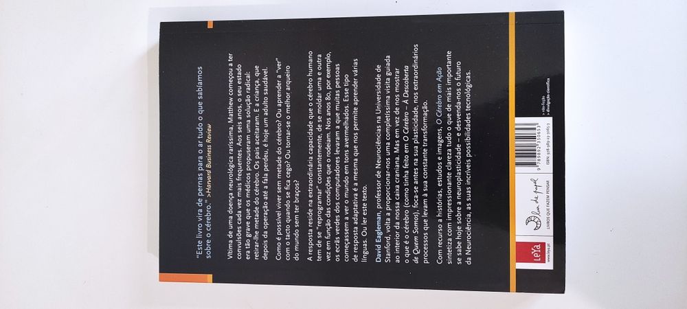 O cérebro em ação