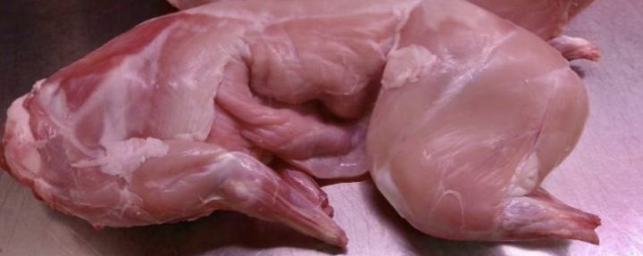 Sprzedam tuszki z królika